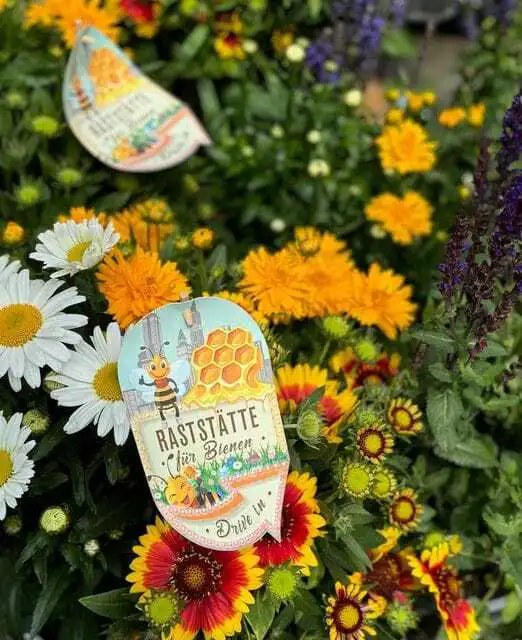 Bienenfutter haben wir auch ….. 6 449690602 18264521527245913 7501307815310650904 n