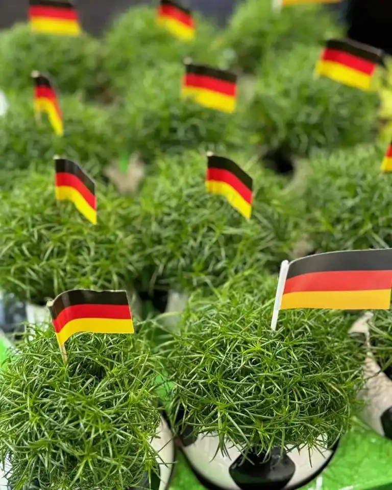 Sommermärchen 2.0