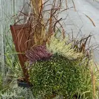 462679731 18277229971245913 5854215275780207656 n