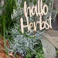 462805934 18277229944245913 1952491742307836769 n