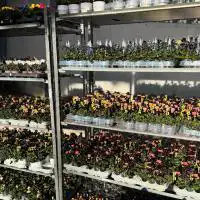 470900715 18286889293245913 5102175980252360605 n