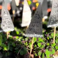 470922083 18286889263245913 4769878902573912176 n