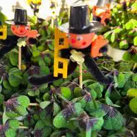 470937106 18286889281245913 8633815277125255848 n