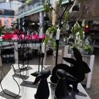 472542879 18288342211245913 5795498902692846382 n