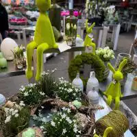 472725390 18288342187245913 7178186365771842122 n.jpg