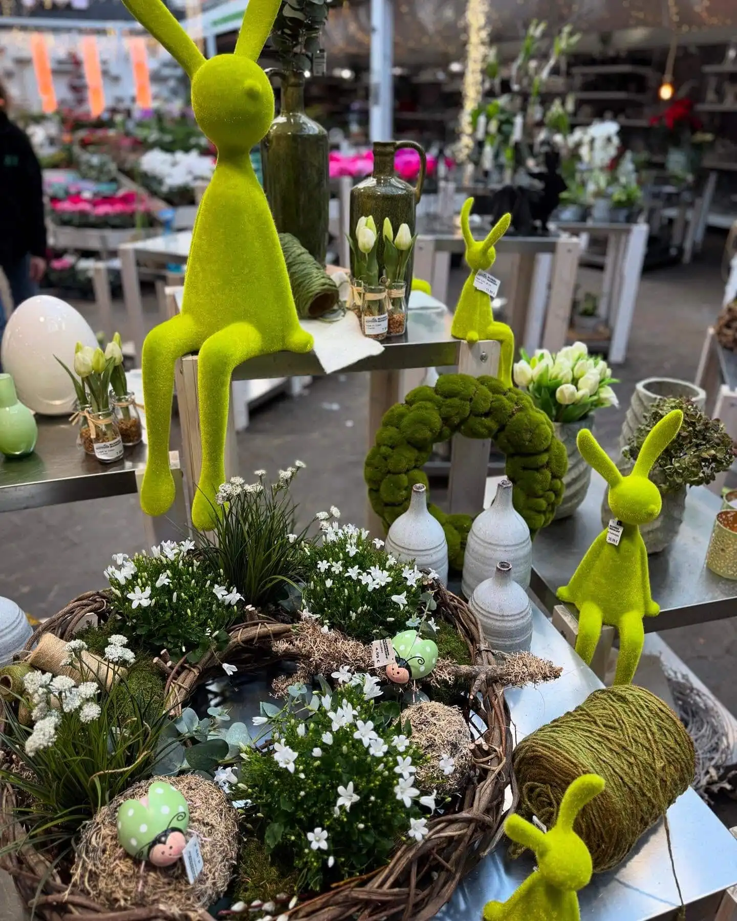 472725390 18288342187245913 7178186365771842122 n.jpg