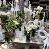 472730052 18288342199245913 1307833063242273778 n