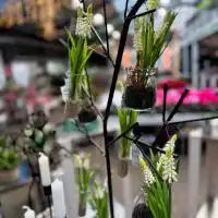 472761602 18288342223245913 5586349083188624042 n