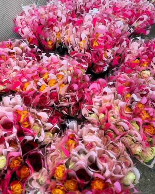 Ohne „Strüßjer“ von uns kein Straßenkarneval ! 1 482308827 18294382654245913 235132113822171955 n