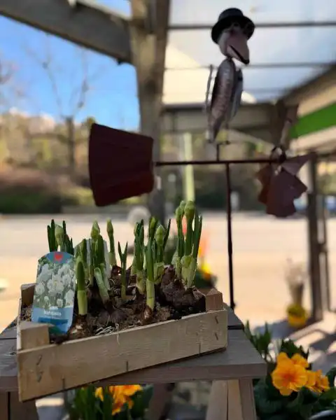 484909585 18296610634245913 7445142352476104522 n