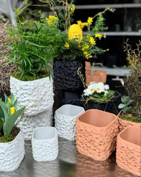 486632747 18297355624245913 873765939649156238 n