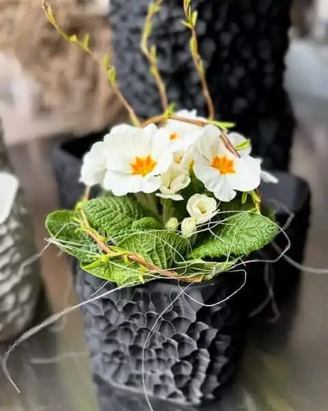 487297551 18297355585245913 3115200223229450680 n