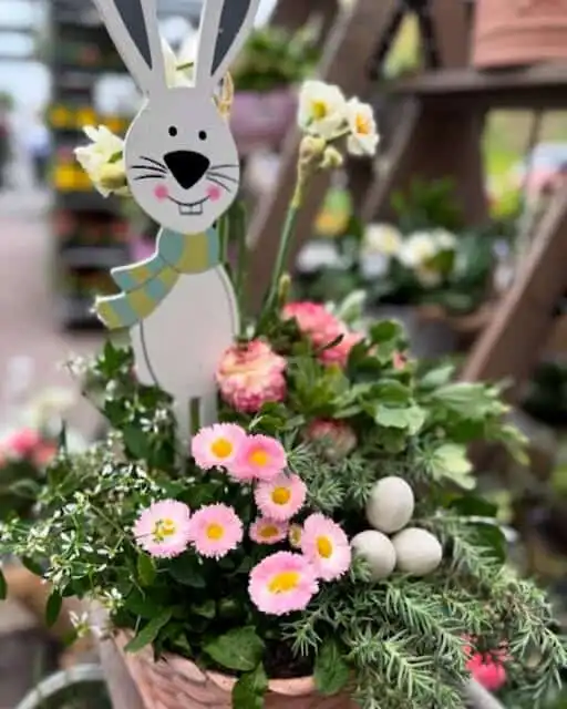 Wir helfen dem Hasen !!! 6 491446292 18299695372245913 6002832510391093933 n