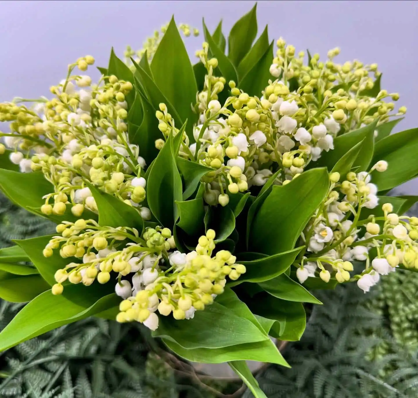 Wir wünschen einen schönen 1. Maifeiertag ! 1 491468731 18301097263245913 5876123132639343915 n