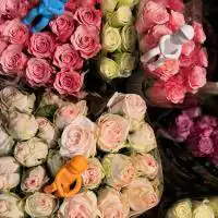 502729096 18304677043245913 6688432980542038292 n