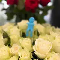 502733547 18304677088245913 6764065204386019808 n