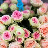 502979885 18304677016245913 4287763046779440397 n