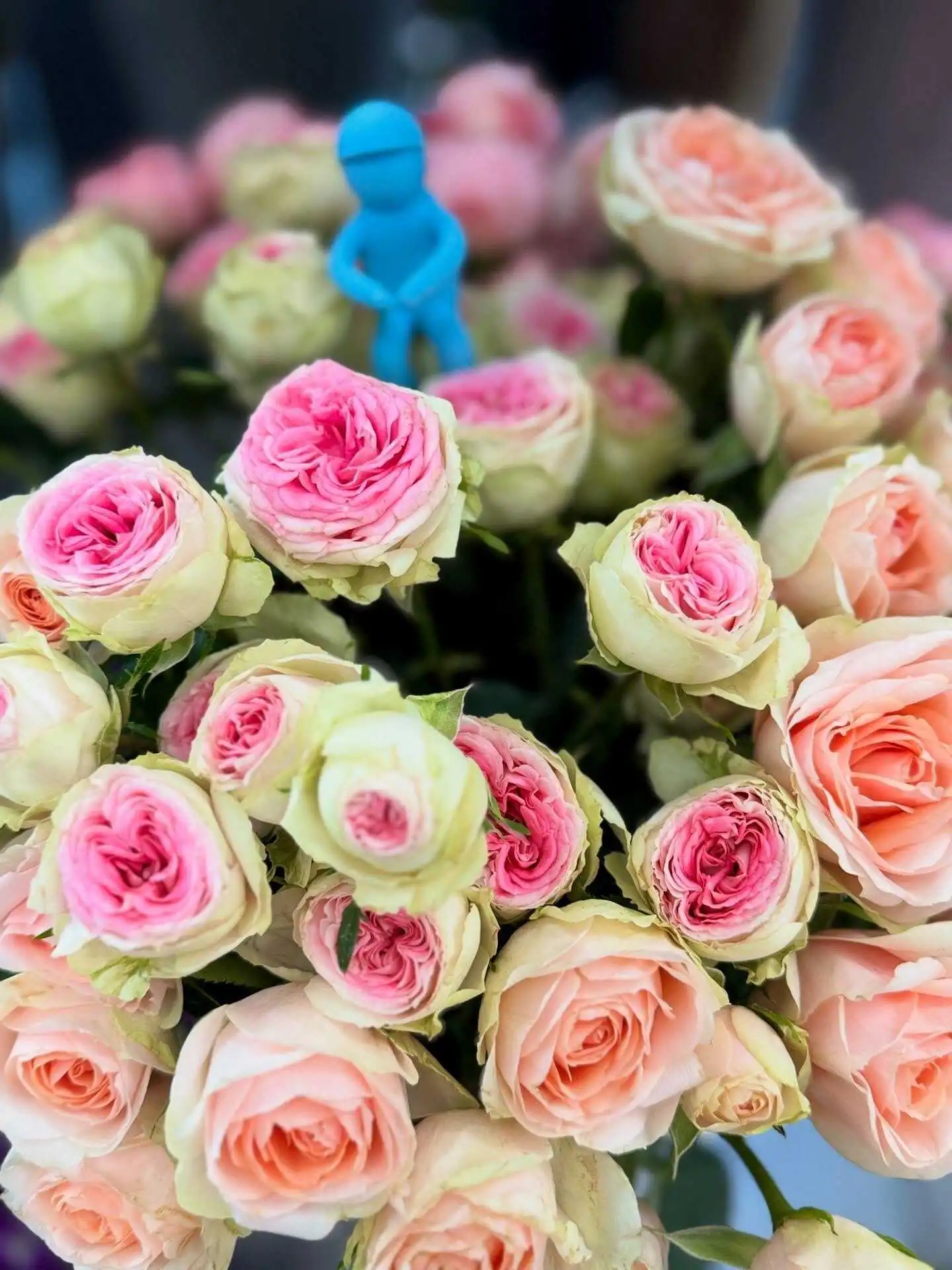 502979885 18304677016245913 4287763046779440397 n