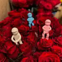 503026651 18304677097245913 4125626415959667885 n