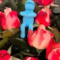 503049980 18304677070245913 5261641116017587616 n