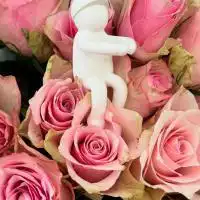 503201556 18304677061245913 2100661312381087263 n