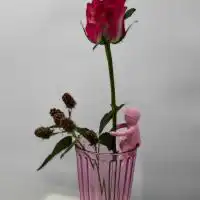 503288659 18304677034245913 879595992738156198 n