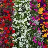 517358861 18309110923245913 2961628307858332867 n