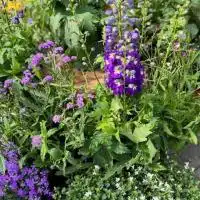 517390016 18309110983245913 1132179013540632135 n