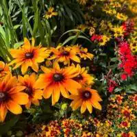 524300882 18311360785245913 4456396589252777603 n