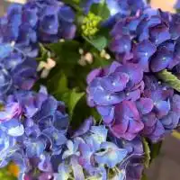 525613867 18311360812245913 2431018568075177337 n