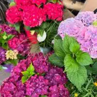 525655631 18311360803245913 6809298961141607243 n