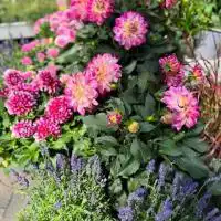 525750154 18311360794245913 5909225619814252085 n