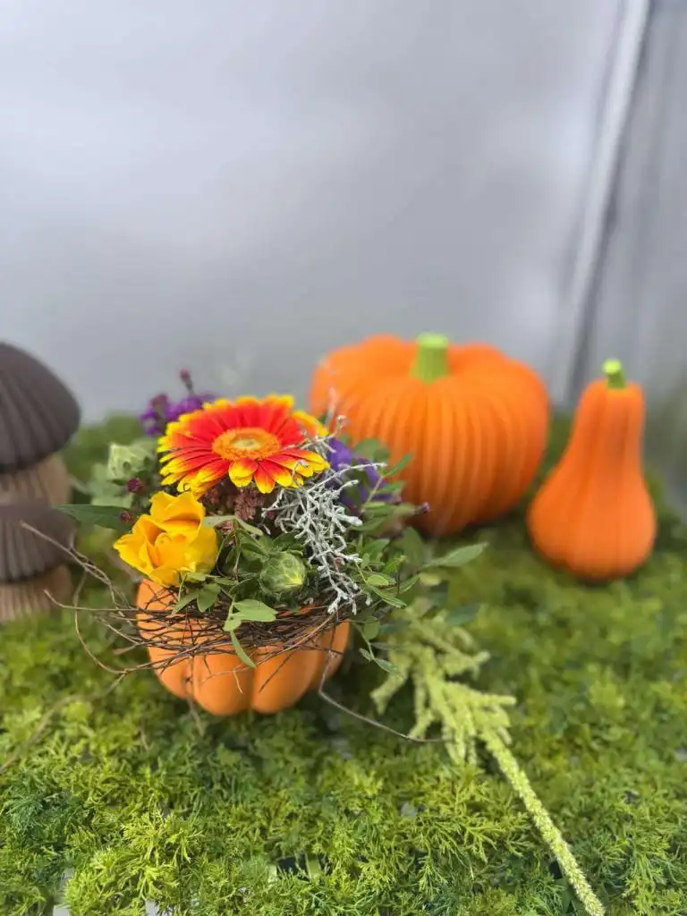 Der Herbst kann kommen…