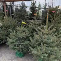 589360822 18328906957245913 5553474809832117354 n