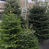 589924309 18328906939245913 7191280909515823058 n