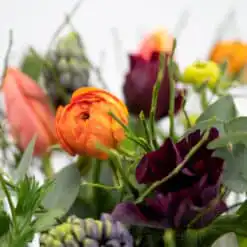 Alternative view of Bunter Frühling