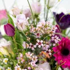 Alternative view of Mitternachtstraum