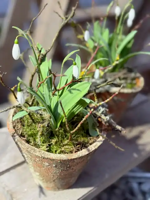 Wir glauben ganz fest daran: Ab nächster Woche wird es Frühling! 🌸✨ 1 Fruehling 1