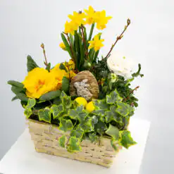 Gepflanztes Oster-Arrangement „Kleiner Ostergarten“