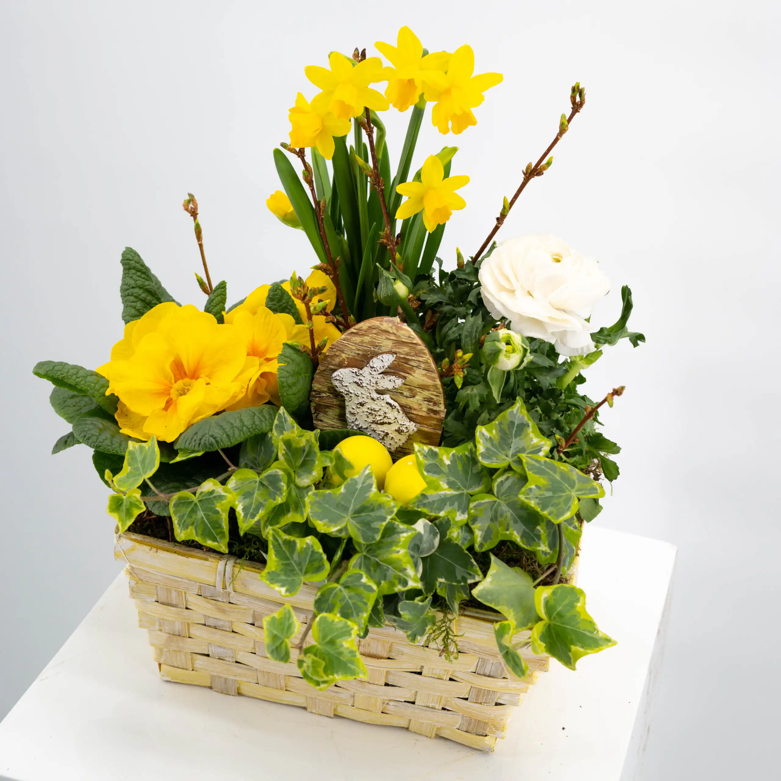 Gepflanztes Oster-Arrangement „Kleiner Ostergarten“ 1 Gepflanztes Oster-Arrangement „Kleiner Ostergarten“