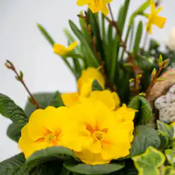 Alternative view of Gepflanztes Oster-Arrangement „Kleiner Ostergarten“