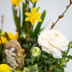 Gepflanztes Oster-Arrangement „Kleiner Ostergarten“ 6 Kleiner Ostergarten 2