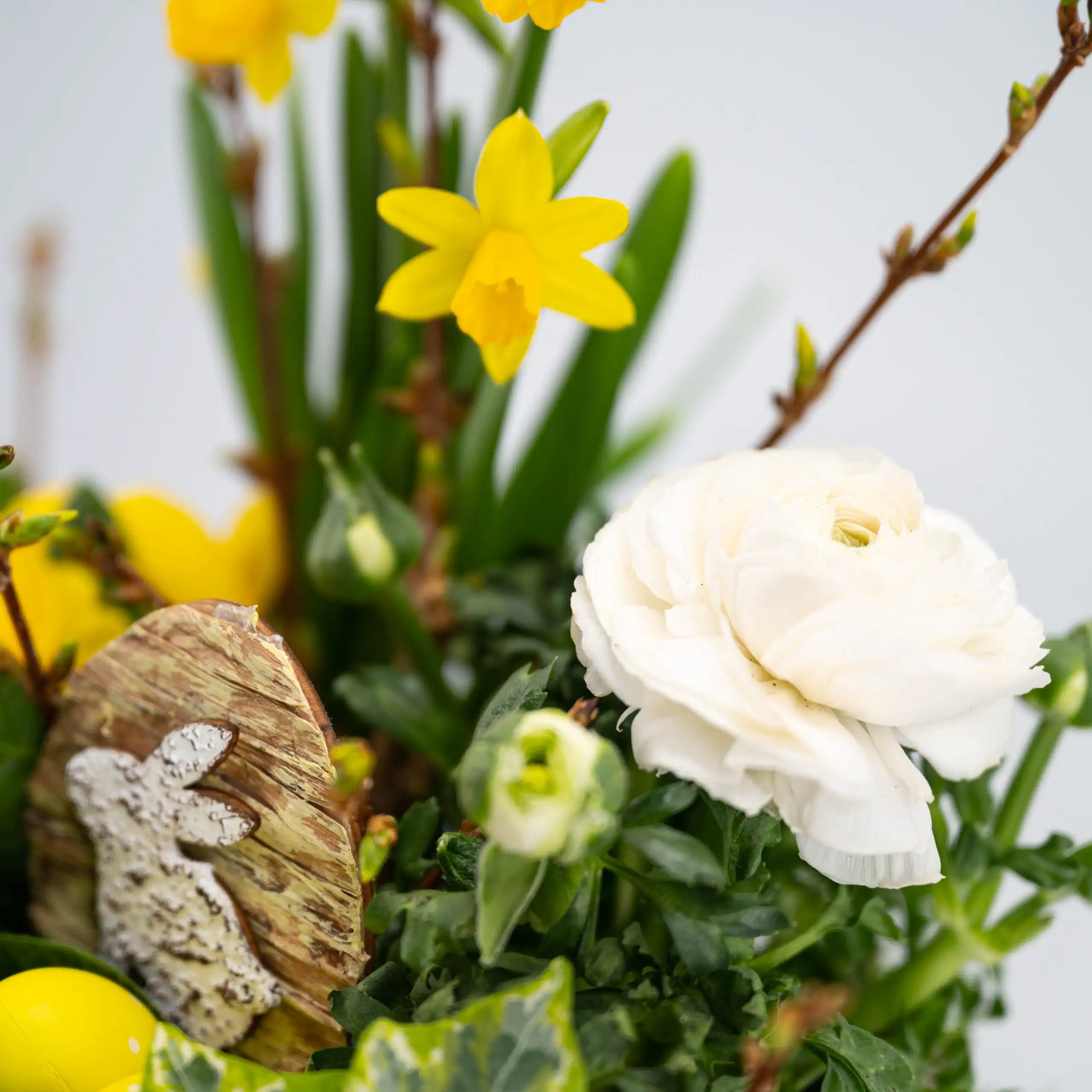 Gepflanztes Oster-Arrangement „Kleiner Ostergarten“ 3 Gepflanztes Oster-Arrangement „Kleiner Ostergarten“ – Bild 3