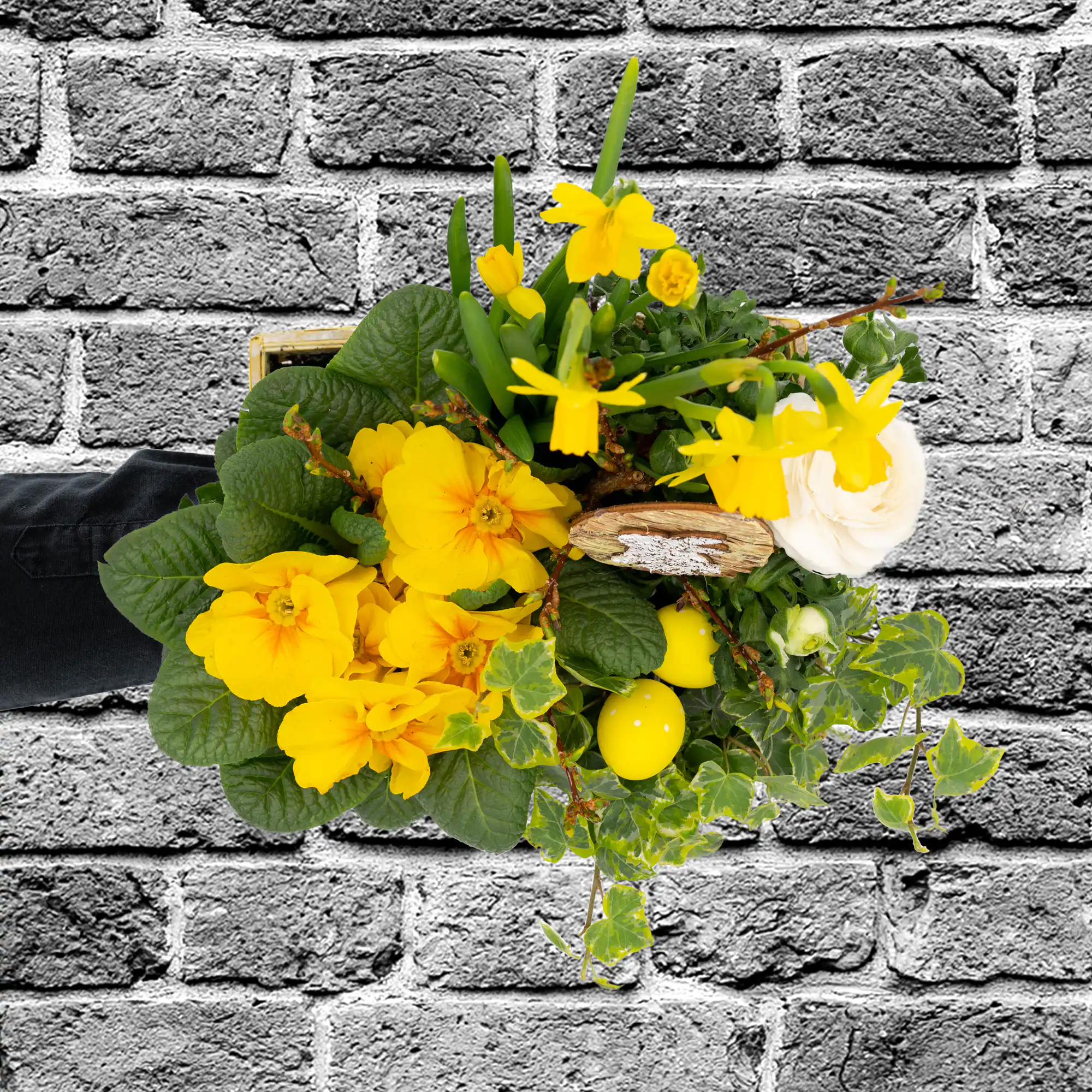 Gepflanztes Oster-Arrangement „Kleiner Ostergarten“ 4 Gepflanztes Oster-Arrangement „Kleiner Ostergarten“ – Bild 4