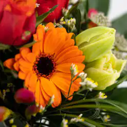 Floristenstrauß „Ostertraum“ – Kompakt & Farbenfroh 6 Ostertraum 2