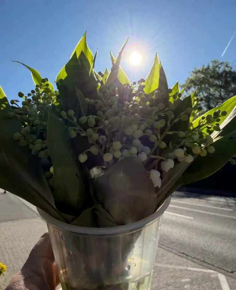 1. Mai
