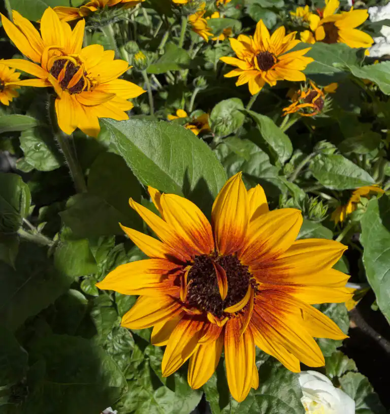 Endlich Sonne… endlich warm…