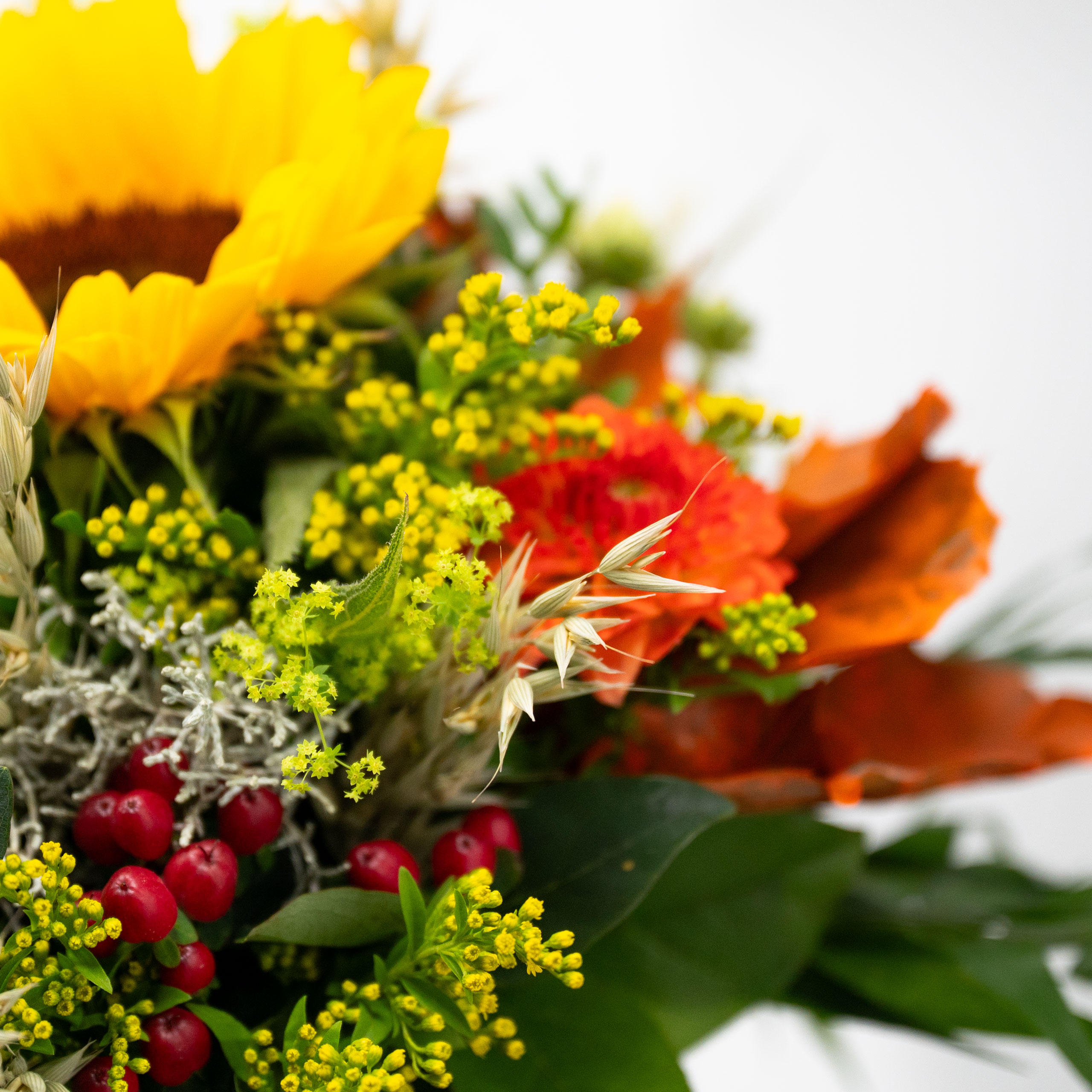 Sonnentanz 3 Sonnentanz – Bild 3 - Blumenstrauß von Blumen Mankopf in Hagen