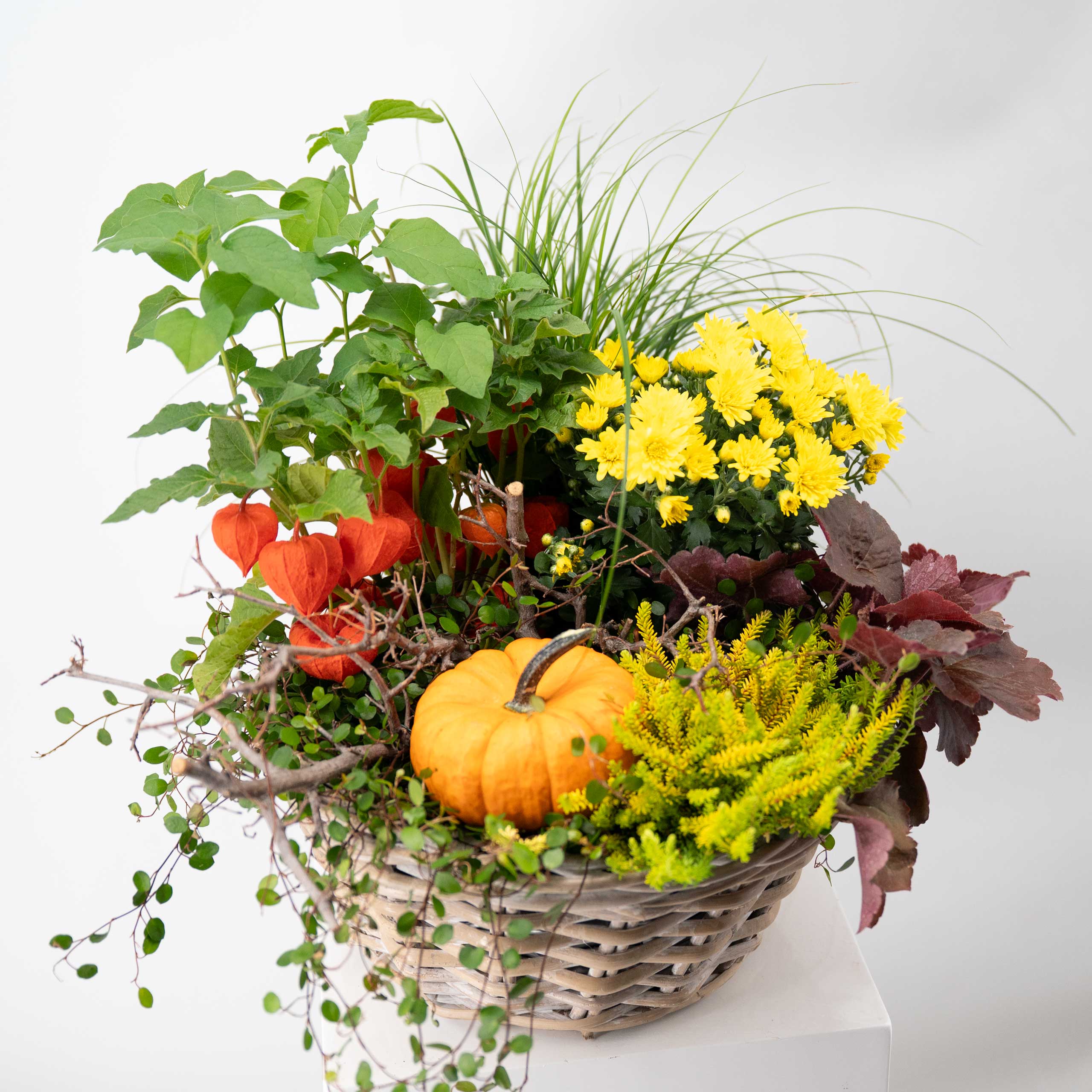 Pflanzmich 1 Pflanzmich - Blumenstrauß von Blumen Mankopf in Hagen