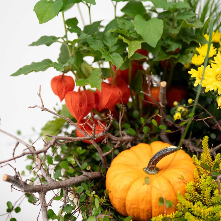 Pflanzmich Detailansicht - Blumenstrauß von Blumen Mankopf in Hagen